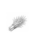 Lemongrass