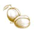 Myrobalanum- Mirabelle Plums