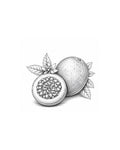 Passion Fruit