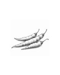 Chilli